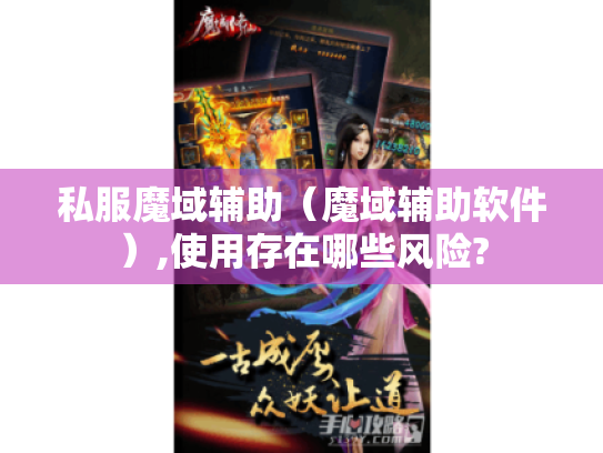 私服魔域辅助（魔域辅助软件）,使用存在哪些风险?