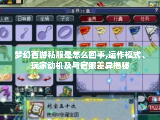 梦幻西游私服是怎么回事,运作模式、玩家动机及与官服差异揭秘