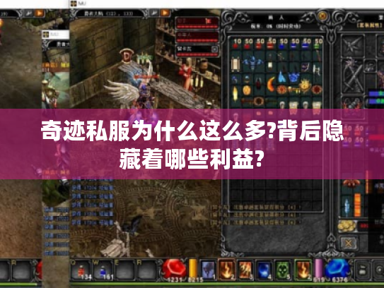 奇迹私服为什么这么多?背后隐藏着哪些利益?