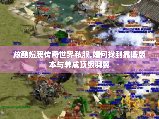 炫酷翅膀传奇世界私服,如何找到靠谱版本与养成顶级羽翼