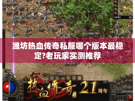 潍坊热血传奇私服哪个版本最稳定?老玩家实测推荐