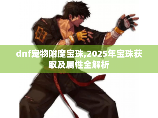 dnf宠物附魔宝珠,2025年宝珠获取及属性全解析 dnf宠物附魔宝珠,2025年宝珠获取及属性全解析