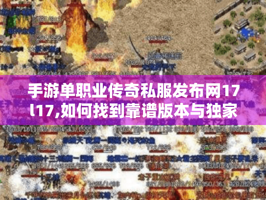 手游单职业传奇私服发布网17l17,如何找到靠谱版本与独家攻略?