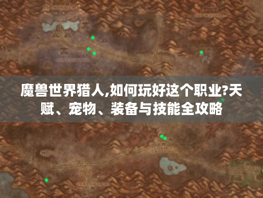 魔兽世界猎人,如何玩好这个职业?天赋、宠物、装备与技能全攻略 魔兽世界猎人,如何玩好这个职业?天赋、宠物、装备与技能全攻略