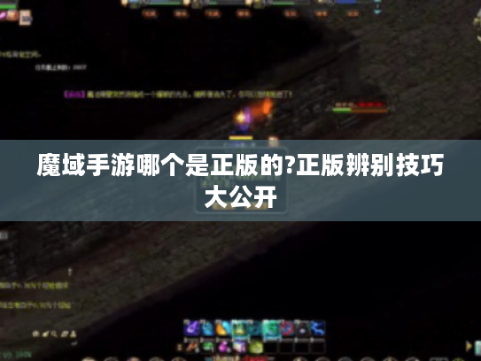魔域手游哪个是正版的?正版辨别技巧大公开 魔域手游哪个是正版的?正版辨别技巧大公开