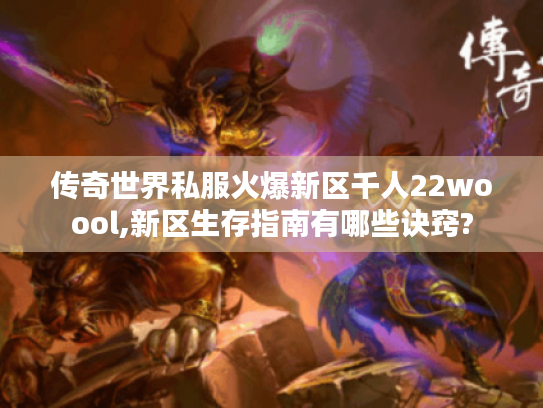 传奇世界私服火爆新区千人22woool,新区生存指南有哪些诀窍?