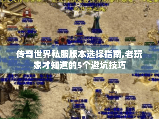传奇世界私服版本选择指南,老玩家才知道的5个避坑技巧