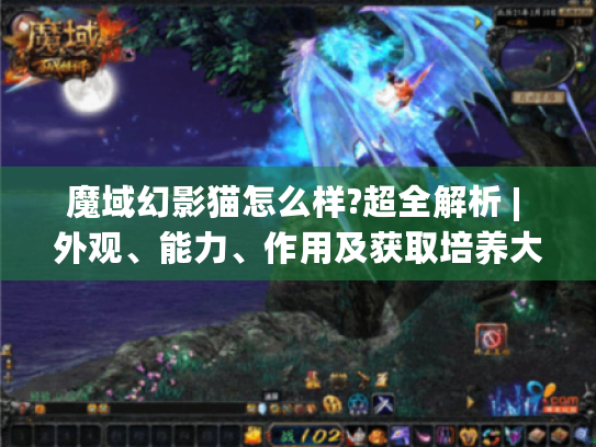 魔域幻影猫怎么样?超全解析 | 外观、能力、作用及获取培养大揭秘