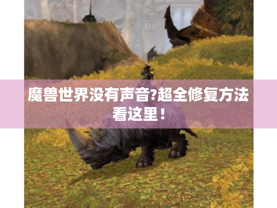 魔兽世界没有声音?超全修复方法看这里！