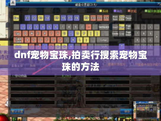 dnf宠物宝珠,拍卖行搜索宠物宝珠的方法