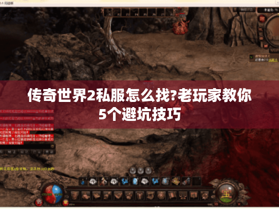 传奇世界2私服怎么找?老玩家教你5个避坑技巧 传奇世界2私服怎么找?老玩家教你5个避坑技巧