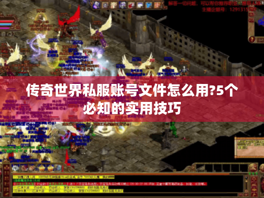 传奇世界私服账号文件怎么用?5个必知的实用技巧 传奇世界私服账号文件怎么用?5个必知的实用技巧