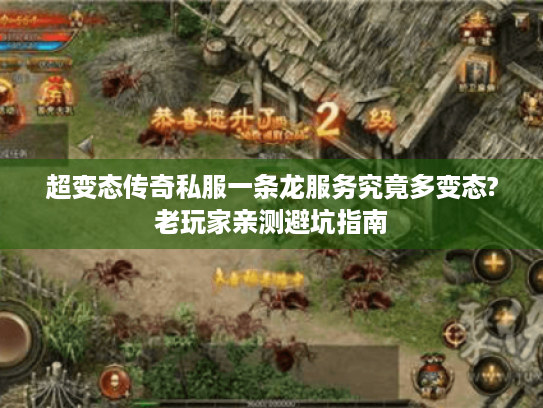 超变态传奇私服一条龙服务究竟多变态?老玩家亲测避坑指南