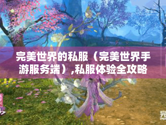 完美世界的私服（完美世界手游服务端）,私服体验全攻略