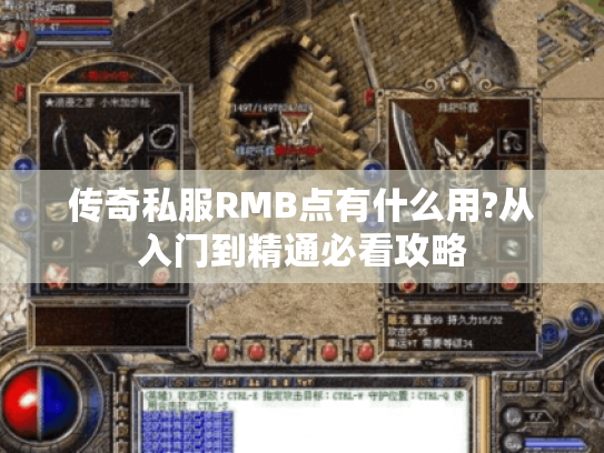 传奇私服RMB点有什么用?从入门到精通必看攻略 传奇私服RMB点有什么用?从入门到精通必看攻略