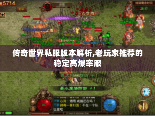 传奇世界私服版本解析,老玩家推荐的稳定高爆率服