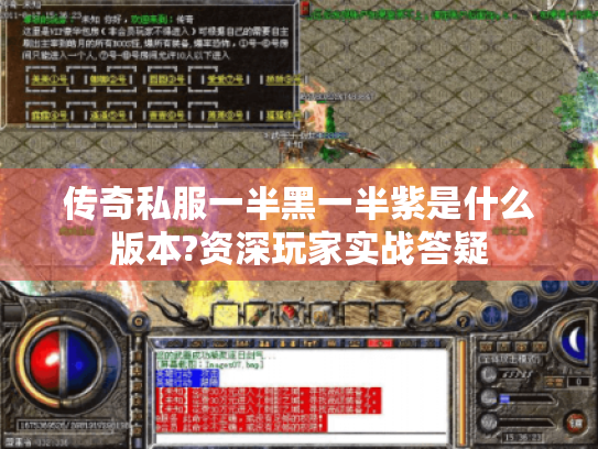 传奇私服一半黑一半紫是什么版本?资深玩家实战答疑