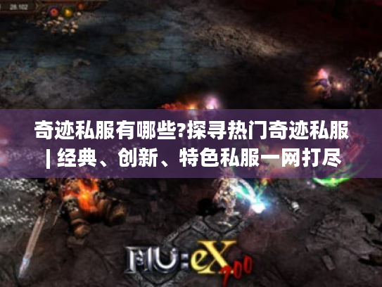 奇迹私服有哪些?探寻热门奇迹私服 | 经典、创新、特色私服一网打尽