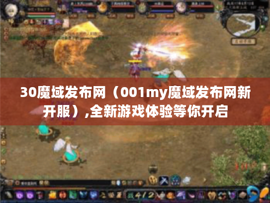 30魔域发布网（001my魔域发布网新开服）,全新游戏体验等你开启