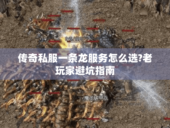 传奇私服一条龙服务怎么选?老玩家避坑指南 传奇私服一条龙服务怎么选?老玩家避坑指南