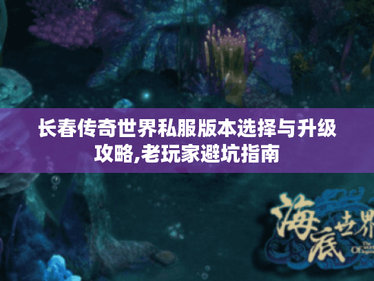长春传奇世界私服版本选择与升级攻略,老玩家避坑指南 长春传奇世界私服版本选择与升级攻略,老玩家避坑指南