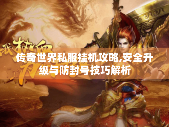 传奇世界私服挂机攻略,安全升级与防封号技巧解析