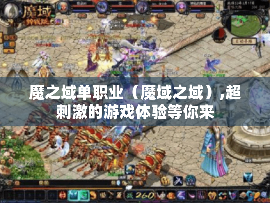 魔之域单职业(魔域之域),超刺激的游戏体验等你来 魔之域单职业(魔域之域),超刺激的游戏体验等你来