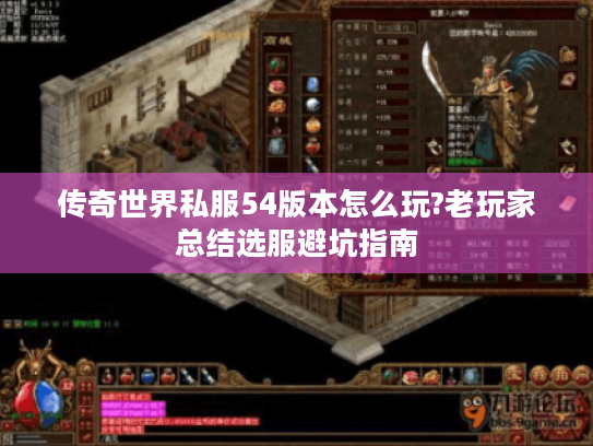 传奇世界私服54版本怎么玩?老玩家总结选服避坑指南