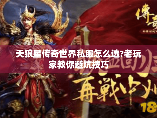 天狼星传奇世界私服怎么选?老玩家教你避坑技巧