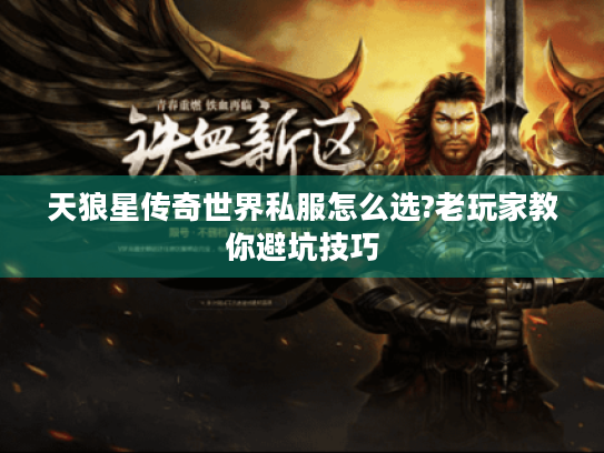 天狼星传奇世界私服怎么选?老玩家教你避坑技巧