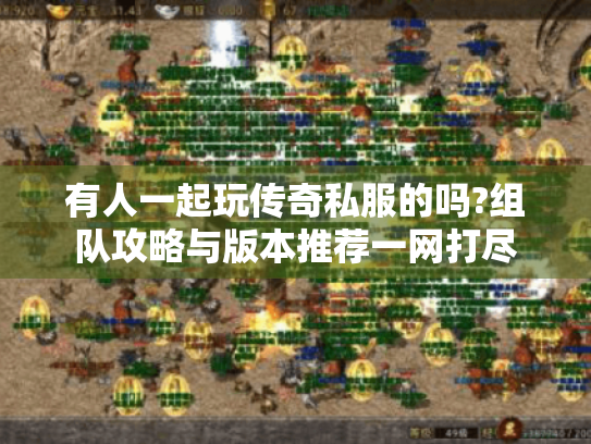 有人一起玩传奇私服的吗?组队攻略与版本推荐一网打尽