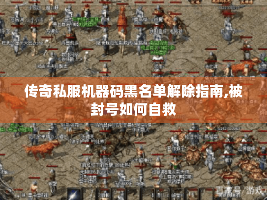 传奇私服机器码黑名单解除指南,被封号如何自救