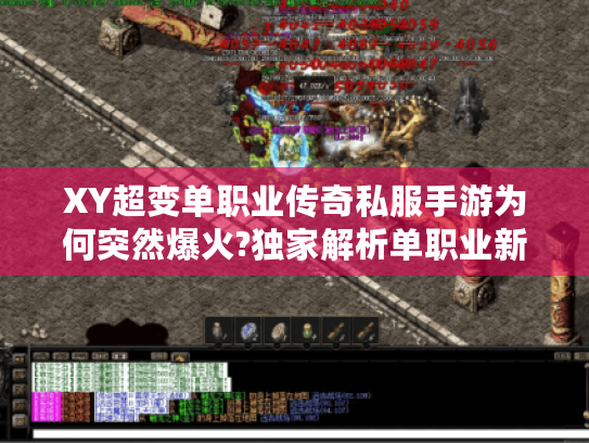 XY超变单职业传奇私服手游为何突然爆火?独家解析单职业新生态