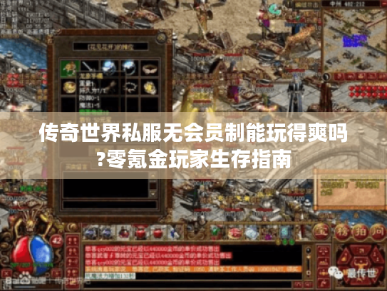 传奇世界私服无会员制能玩得爽吗?零氪金玩家生存指南