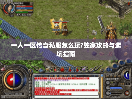 一人一区传奇私服怎么玩?独家攻略与避坑指南