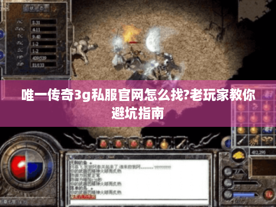 唯一传奇3g私服官网怎么找?老玩家教你避坑指南 唯一传奇3g私服官网怎么找?老玩家教你避坑指南