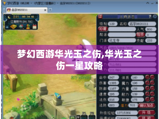 梦幻西游华光玉之伤,华光玉之伤一星攻略
