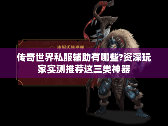 传奇世界私服辅助有哪些?资深玩家实测推荐这三类神器