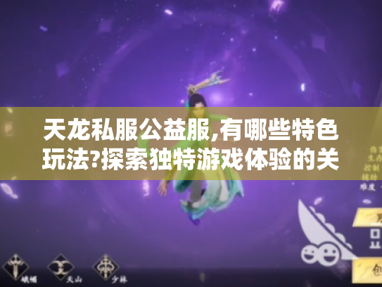 天龙私服公益服,有哪些特色玩法?探索独特游戏体验的关键要素