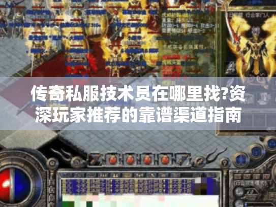 传奇私服技术员在哪里找?资深玩家推荐的靠谱渠道指南