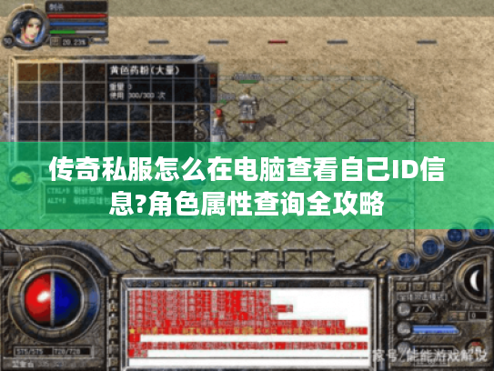 传奇私服怎么在电脑查看自己ID信息?角色属性查询全攻略