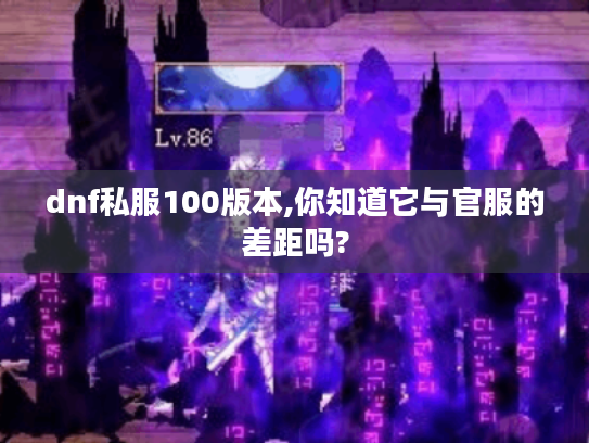 dnf私服100版本,你知道它与官服的差距吗?