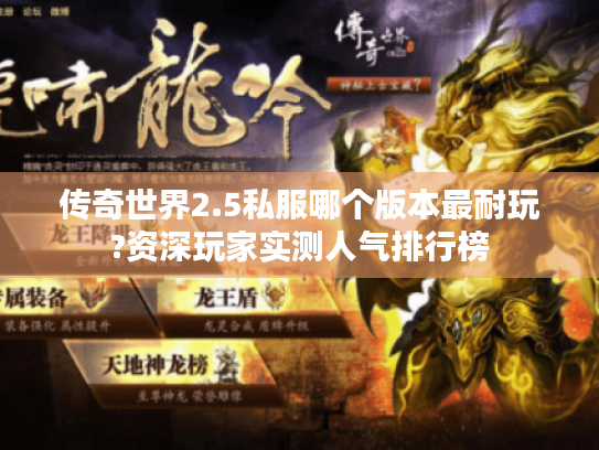 传奇世界2.5私服哪个版本最耐玩?资深玩家实测人气排行榜