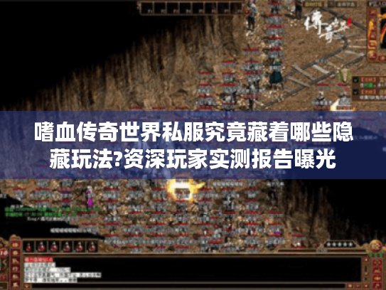 嗜血传奇世界私服究竟藏着哪些隐藏玩法?资深玩家实测报告曝光 嗜血传奇世界私服究竟藏着哪些隐藏玩法?资深玩家实测报告曝光