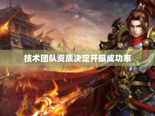 技术团队资质决定开服成功率