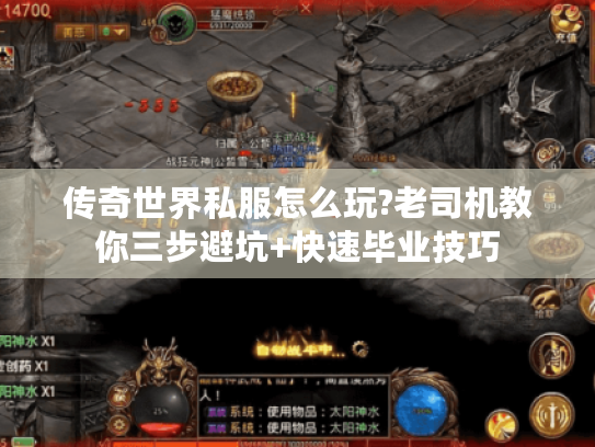 传奇世界私服怎么玩?老司机教你三步避坑+快速毕业技巧