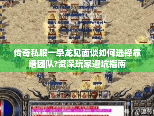 传奇私服一条龙见面谈如何选择靠谱团队?资深玩家避坑指南