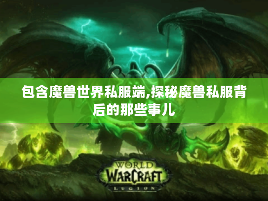 包含魔兽世界私服端,探秘魔兽私服背后的那些事儿