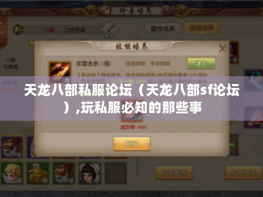 天龙八部私服论坛（天龙八部sf论坛）,玩私服必知的那些事
