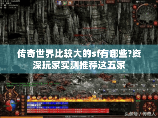 传奇世界比较大的sf有哪些?资深玩家实测推荐这五家 传奇世界比较大的sf有哪些?资深玩家实测推荐这五家